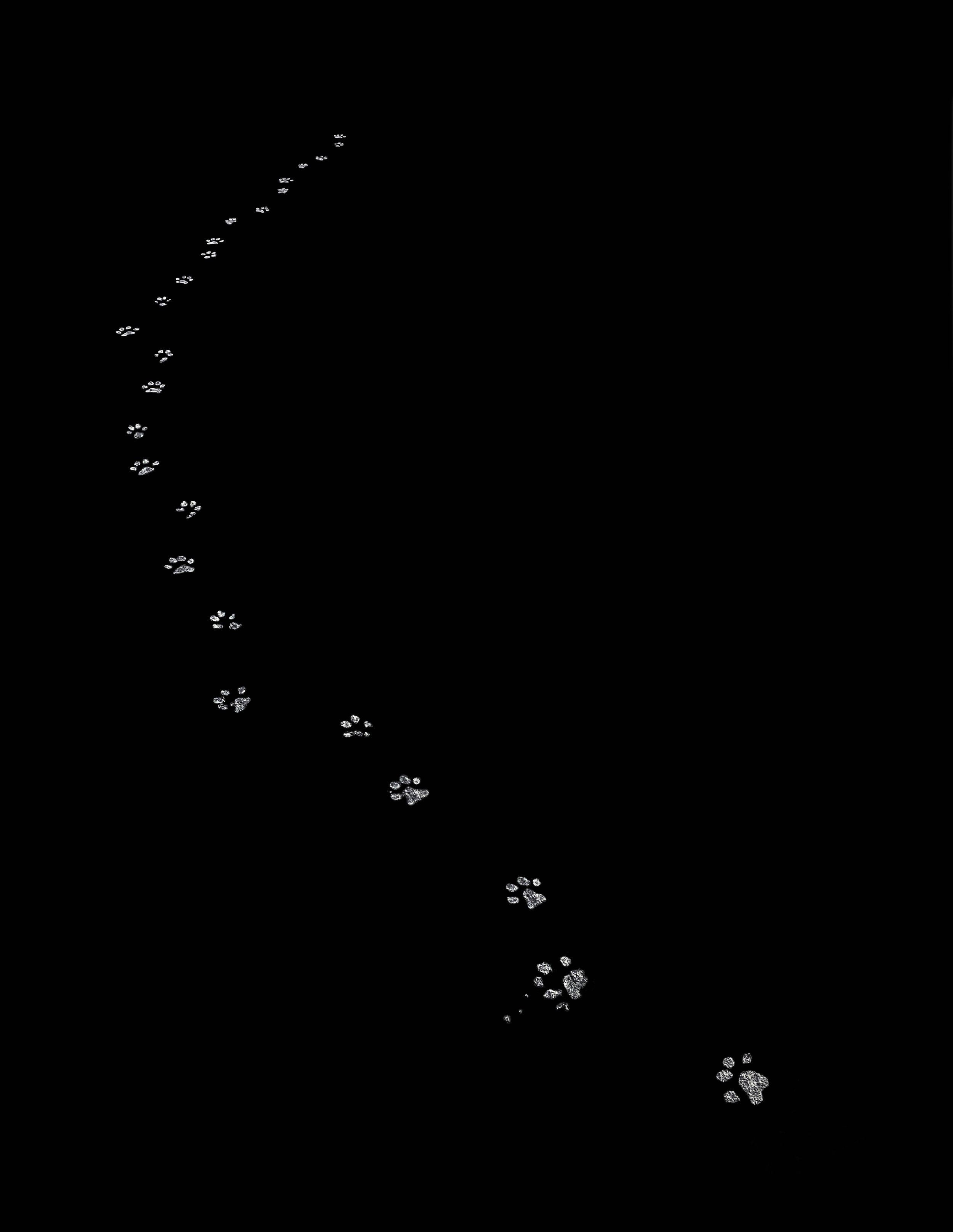 DOGPRINTS