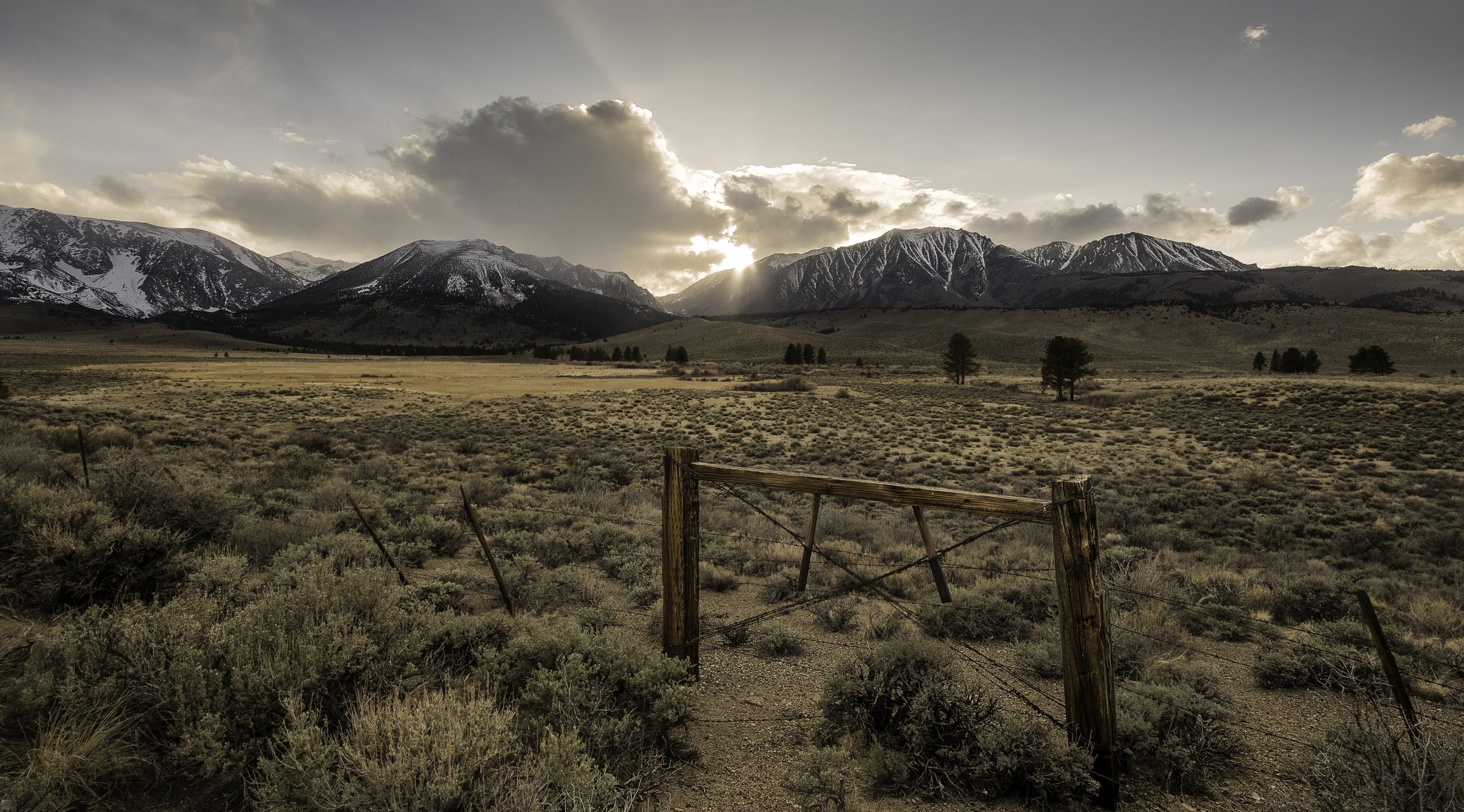 A FENCE NEAR JUNE